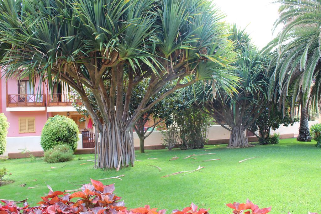 Vivienda Vacacional Los Balconcitos Playa Cancajos na wyspie la Palma Zewnętrze zdjęcie